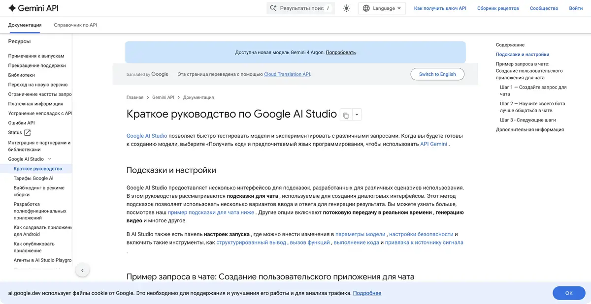 Google AI Studio: официальная инструкция по запросам и настройкам AI Studio